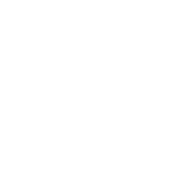 Bufalo Music Merch Store